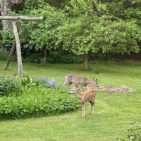 Mellem-rummet & Glamping Bed & Breakfast