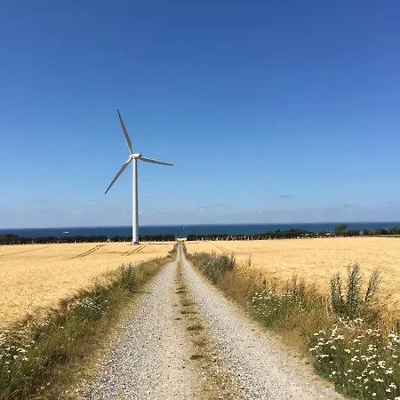 Mellem-rummet & Glamping